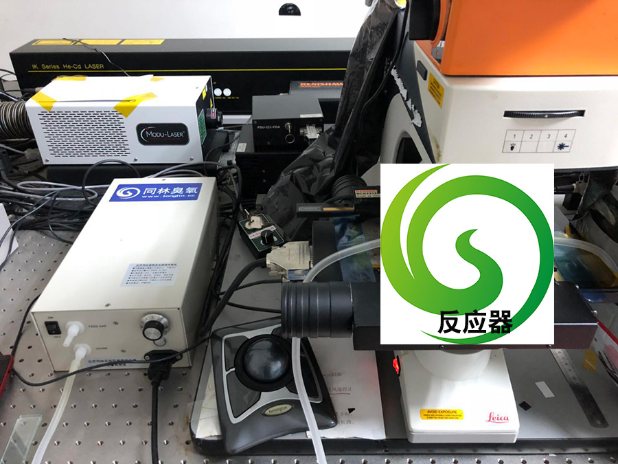 複旦大學91视频直播APP下载發生器